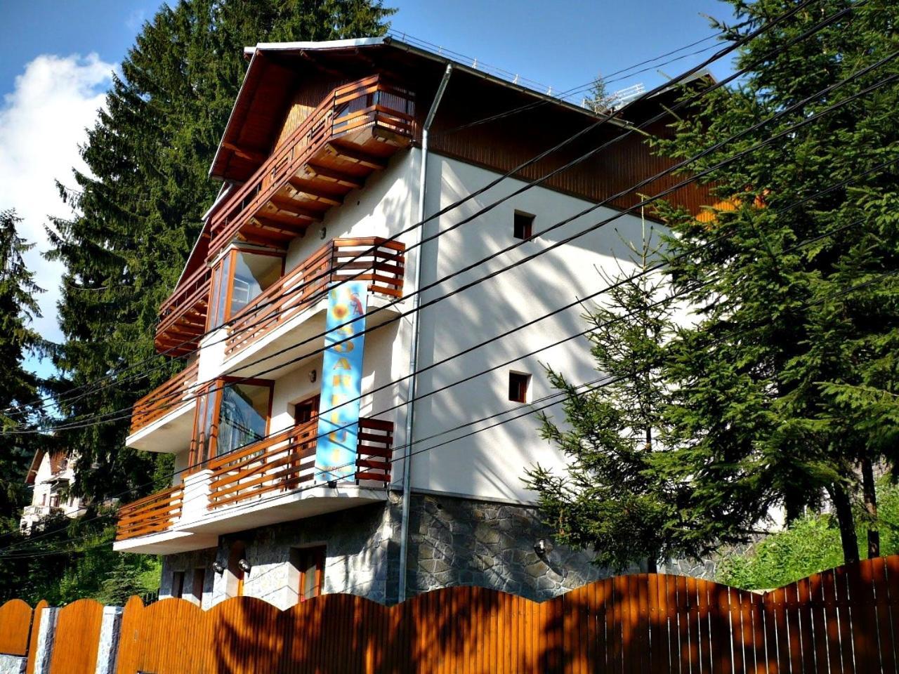 Pension Casa Soarelui 锡纳亚 外观 照片